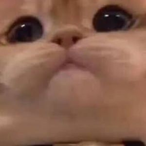 Meet your Posher, Ian